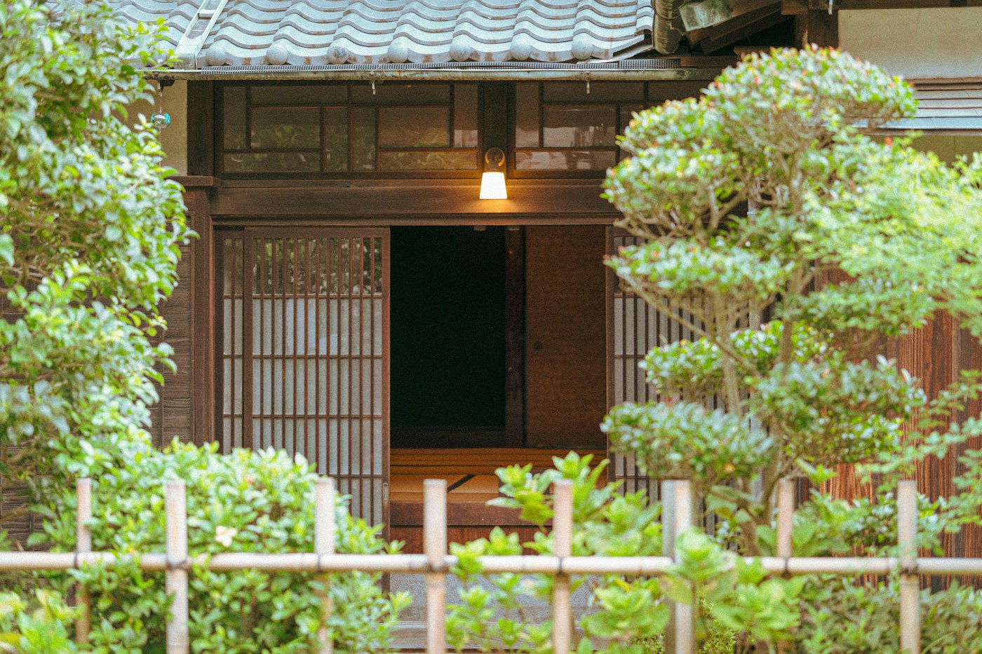 木の玄関と庭の緑がある日本の家のイメージ写真